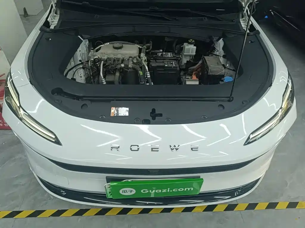 Roewe Young Wai D6 — миниатюра 16
