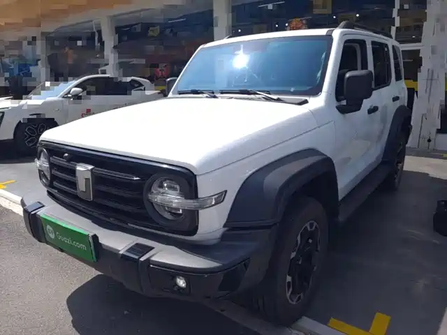 2025 TANK 300