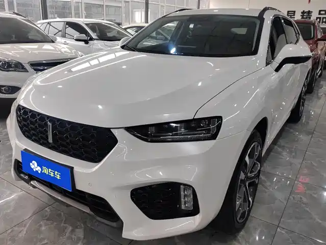 WEI PAI WEI BRAND VV7