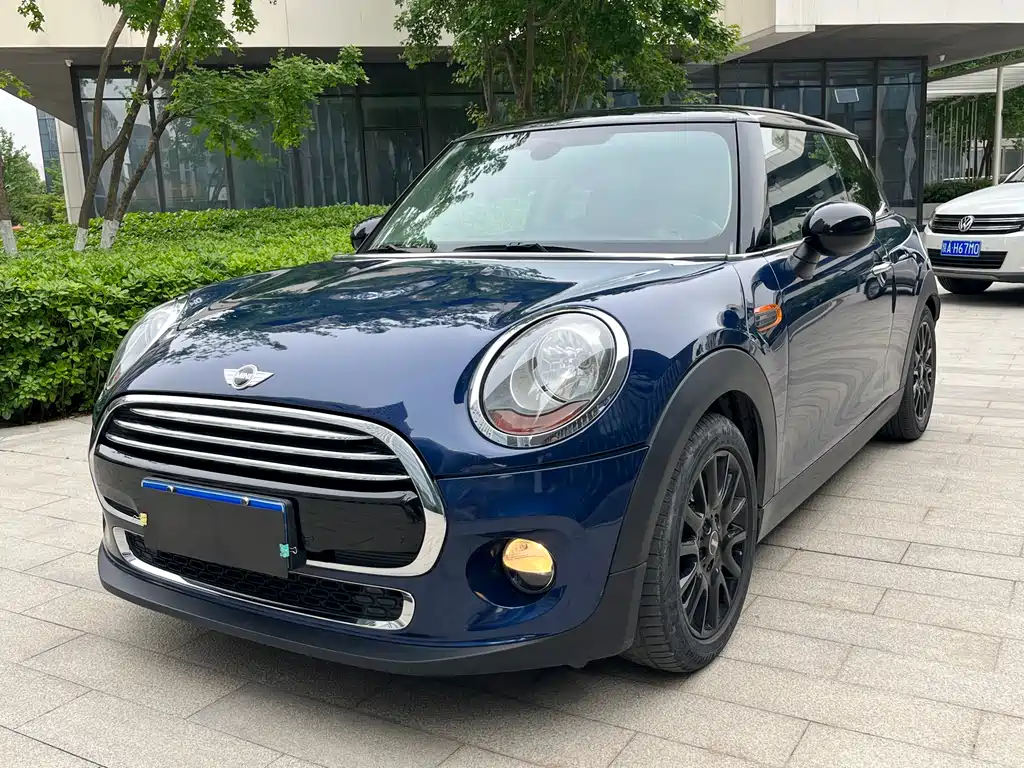 Mini Mini 2015