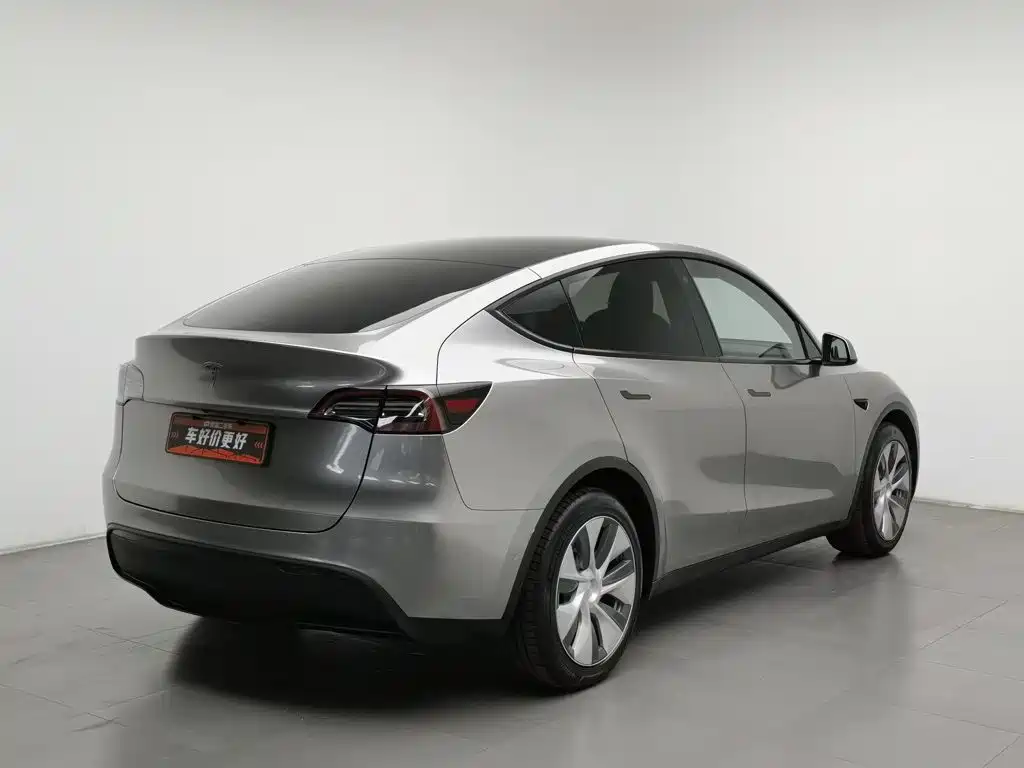 Tesla Model Y — миниатюра 2