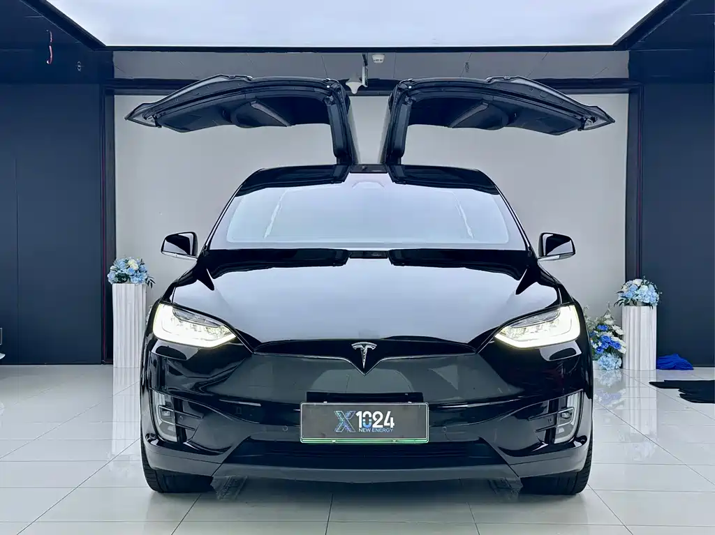 Tesla Model X — миниатюра 2