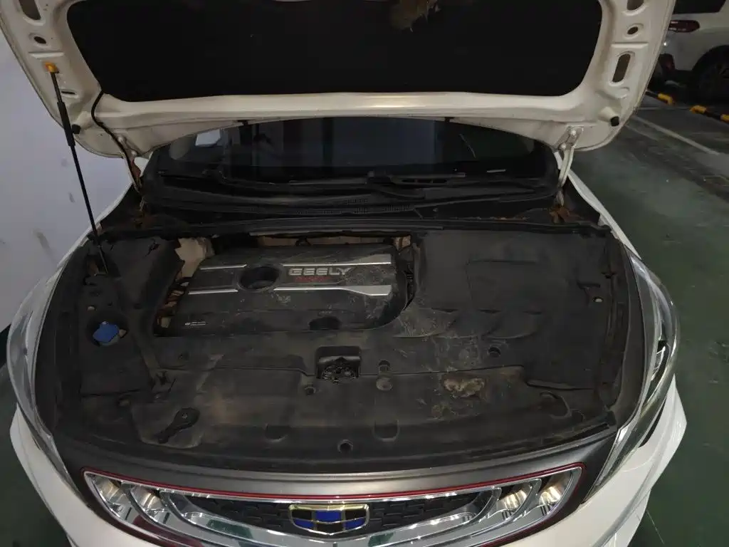 Geely Emgrand GS — миниатюра 11