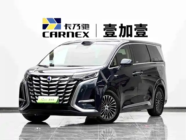 2025 Denza D9