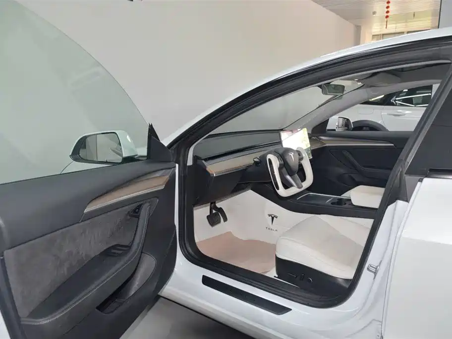 Tesla Model 3 2021 3D1