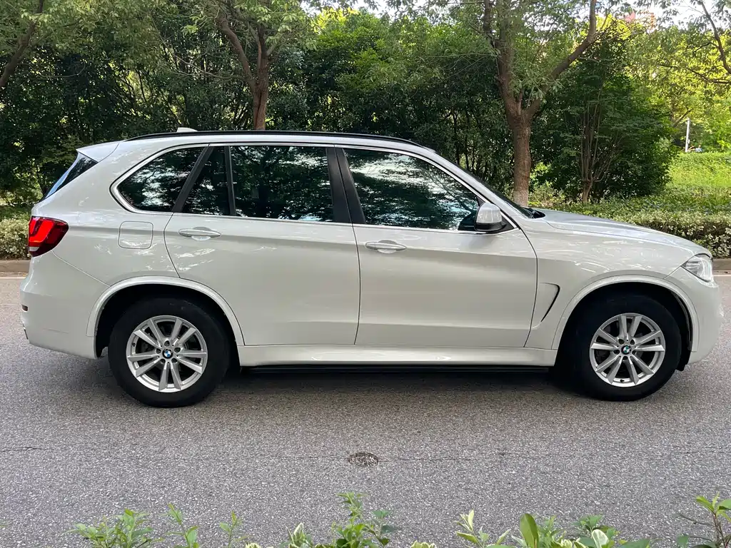 BMW X5 (Import) xDrive35i Leading Type, фото 18