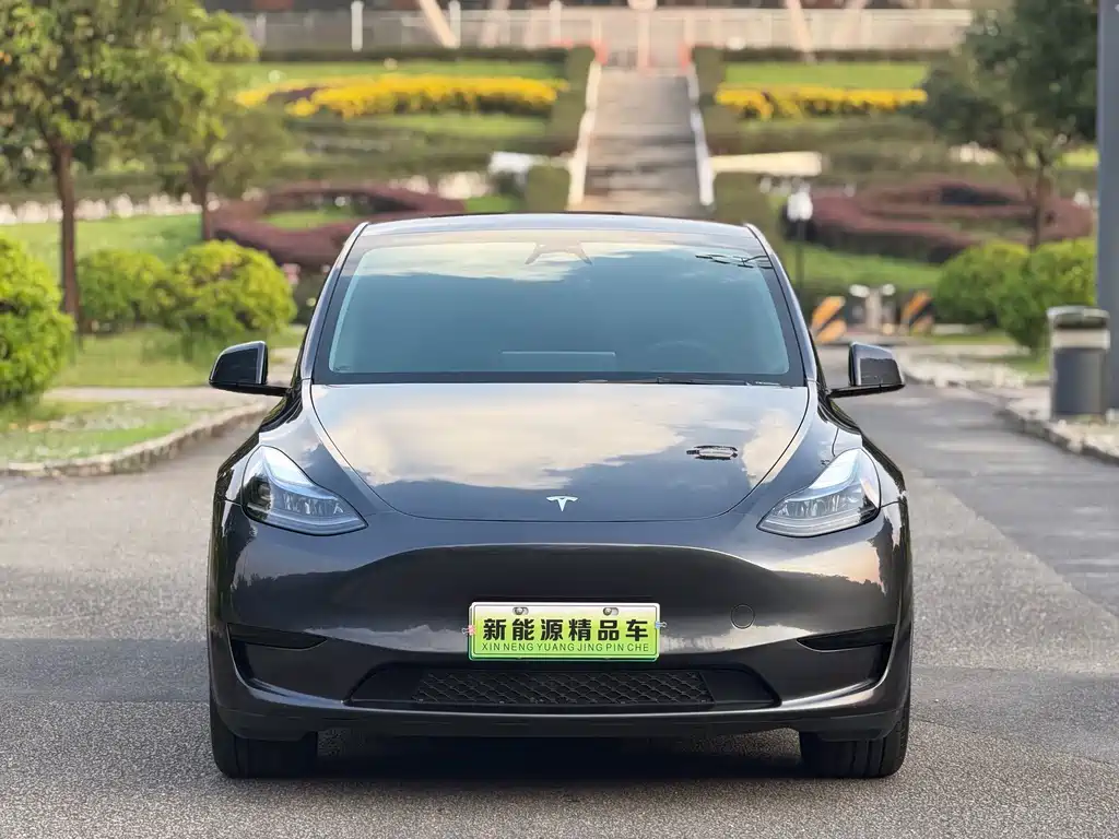 Tesla Model Y — миниатюра 3