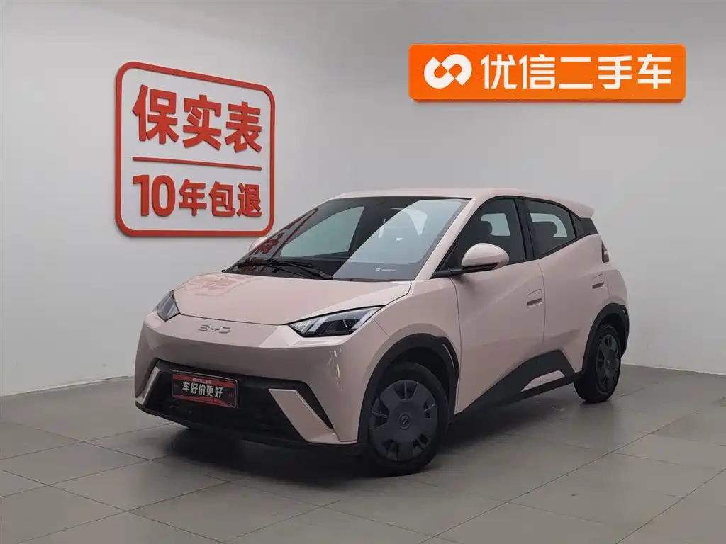 Byd Seagull 2024