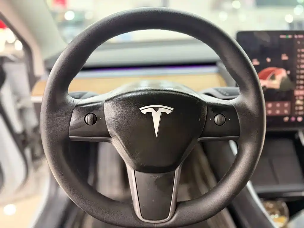 Tesla Model 3 — миниатюра 14