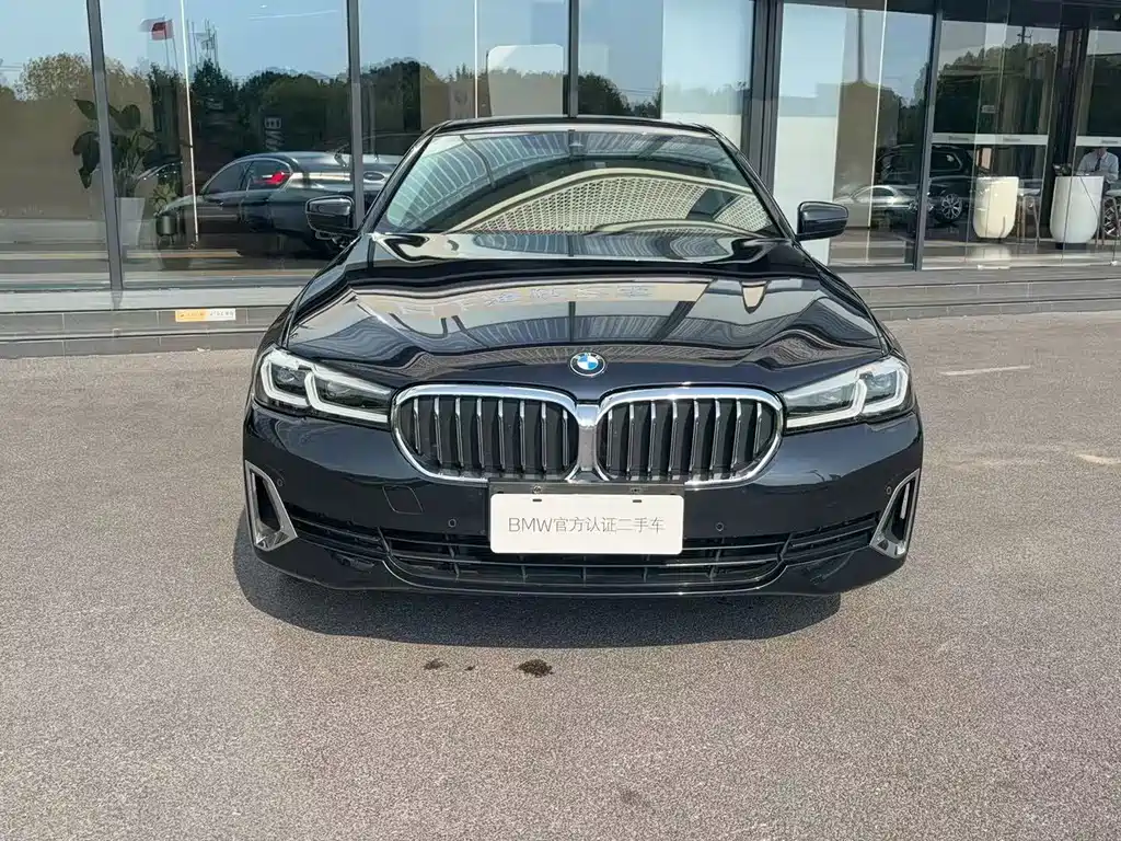 BMW 5 Series 5 2021 530Li Lead Luxury