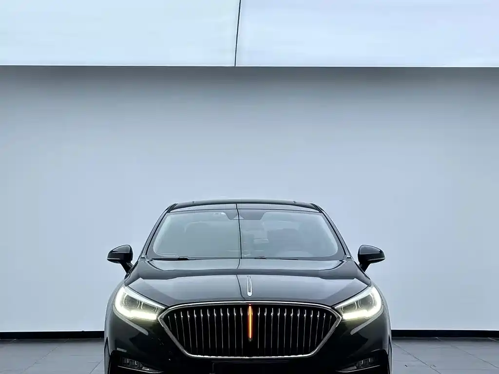 Hongqi Hongqi H5 — миниатюра 2