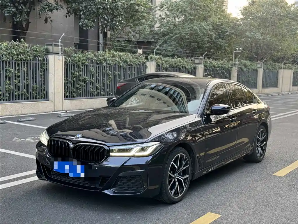 BMW 5 Series (Import) 2021