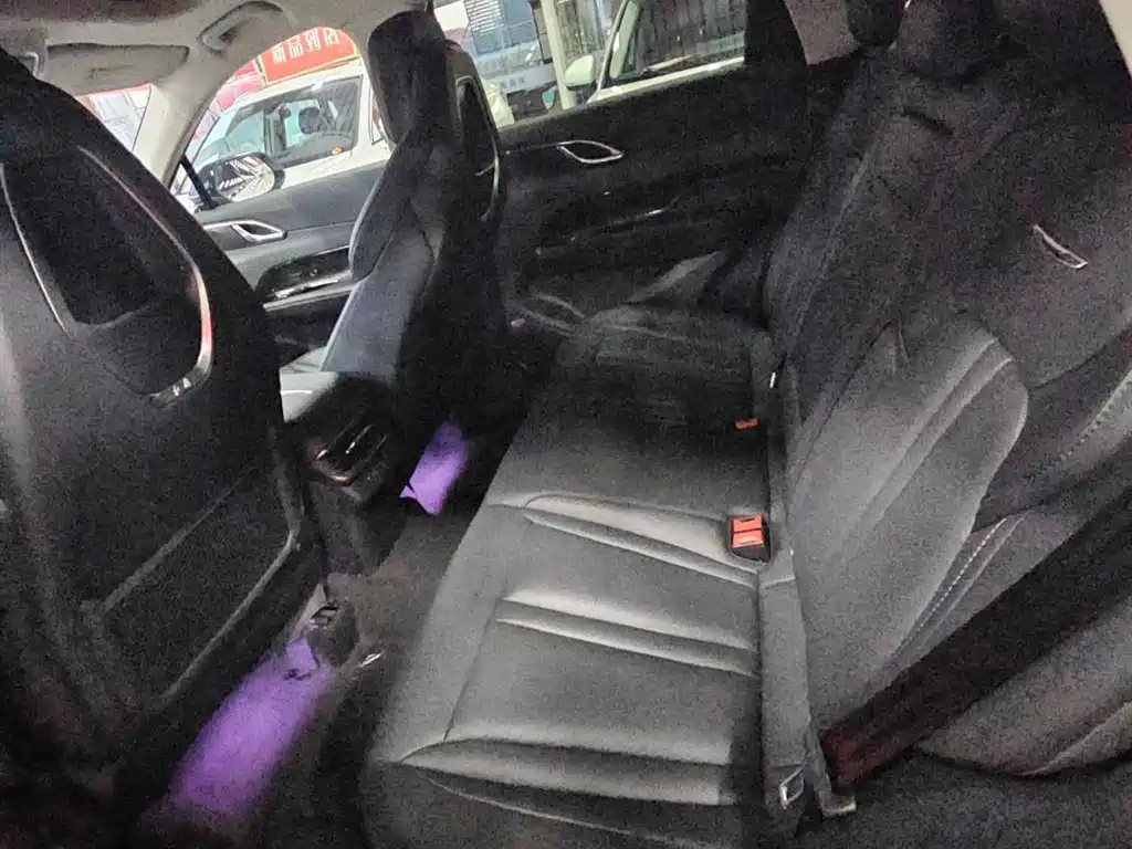 Hongqi HS3 2.0T 4WD Aspire Edition, фото 8