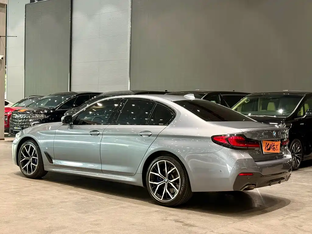 BMW 5 Series (Import) Facelift 530i M Sport Package, фото 14