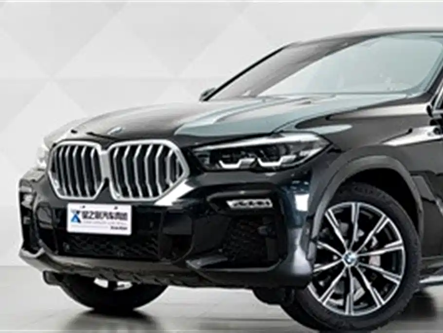 BMW X6 2021 xDrive30i M Sport
