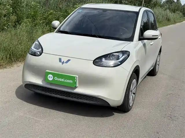 WULING AUTOMOBILE WULING BINGGUO 2023