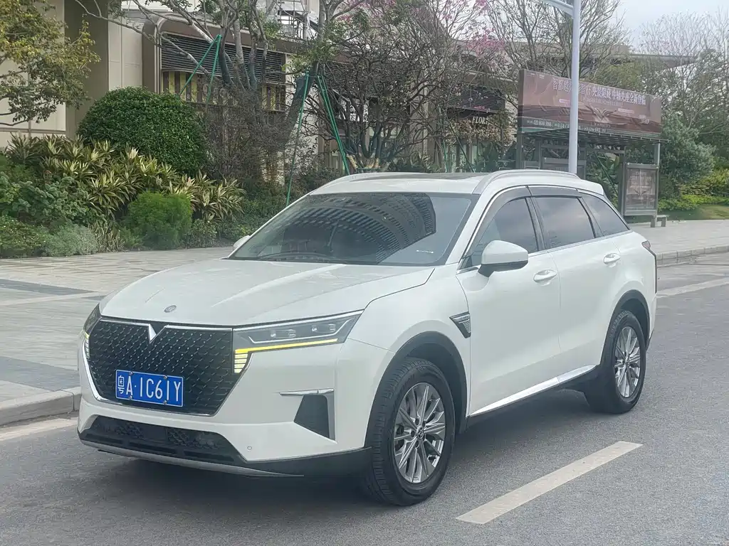 Venucia Star 2020