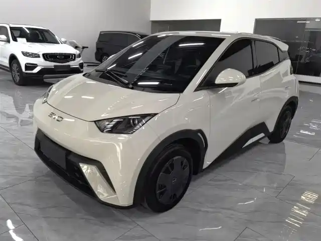 2024 BYD Seagull