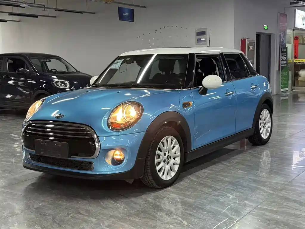 Mini Mini 2015