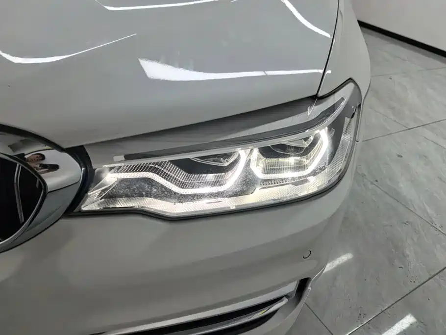 BMW 5 Series 5 2020 530Li Premium Luxury