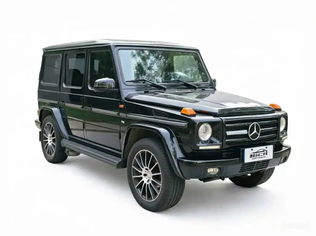 Mercedes-Benz G-Class G 2010 G 500
