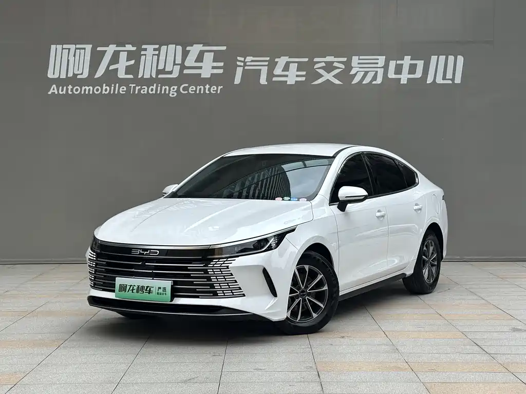 Byd Destroyer 05 2024