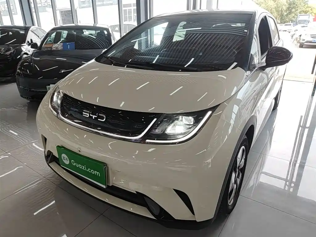 Byd Dolphin 2025