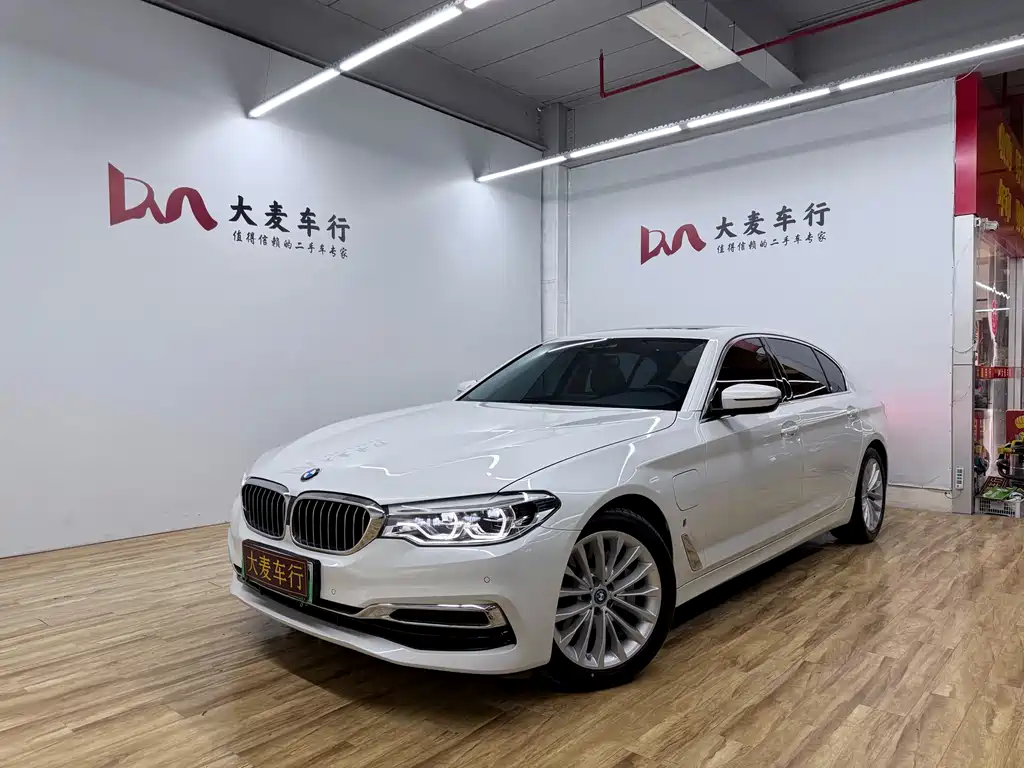 BMW 5 Series New Energy 2019