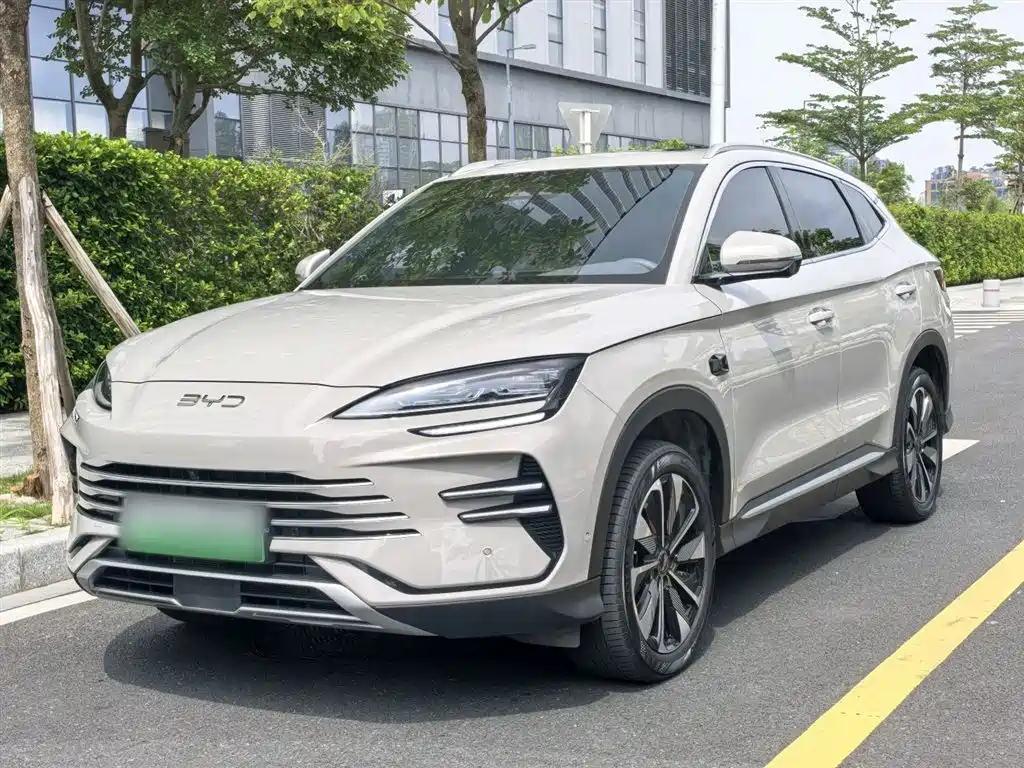 Byd PLUS New Energy 2025