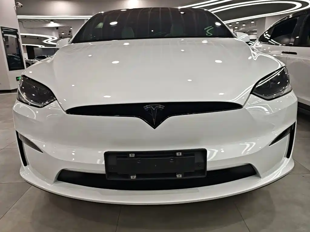 Tesla Model X — миниатюра 3