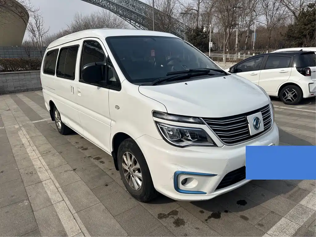 DONGFENG LINGZHI NEW ENERGY