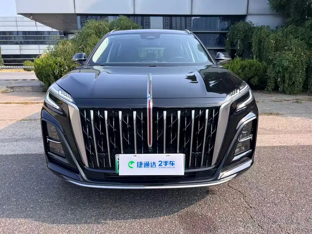 Hongqi Hongqi HS3 PHEV — миниатюра 2