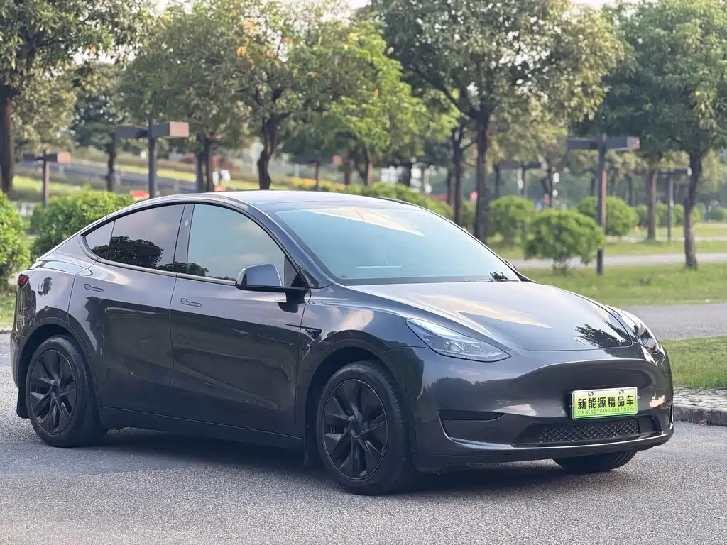 Tesla Model Y — миниатюра 2