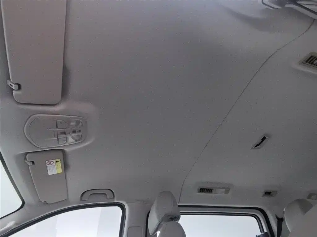 SAIC MAXUS CHASE G10