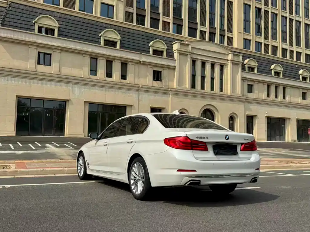 BMW 5 Series 5 2019 530Li Lead Luxury