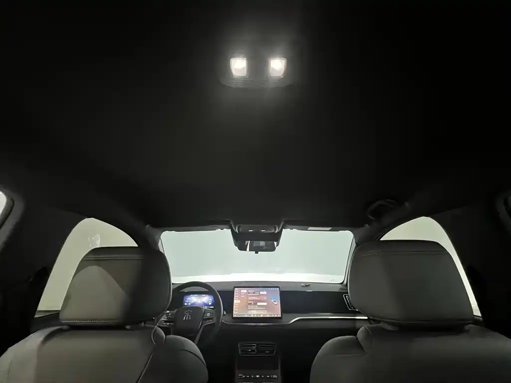 BYD Pro New Energy — миниатюра 4