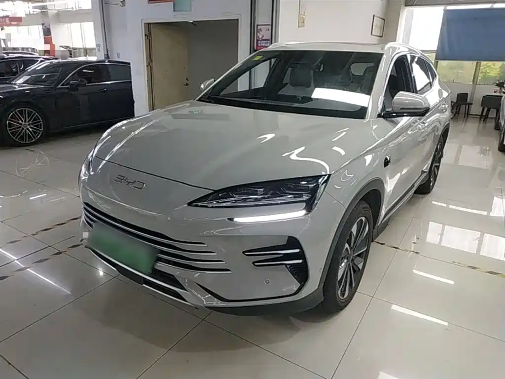 Byd PLUS New Energy 2025