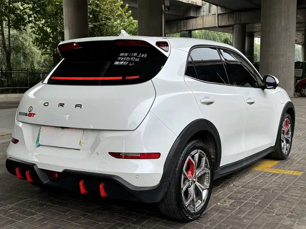Ora Ora Good Cat GT — миниатюра 9