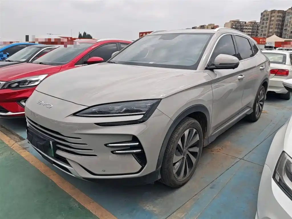 Byd PLUS New Energy 2024
