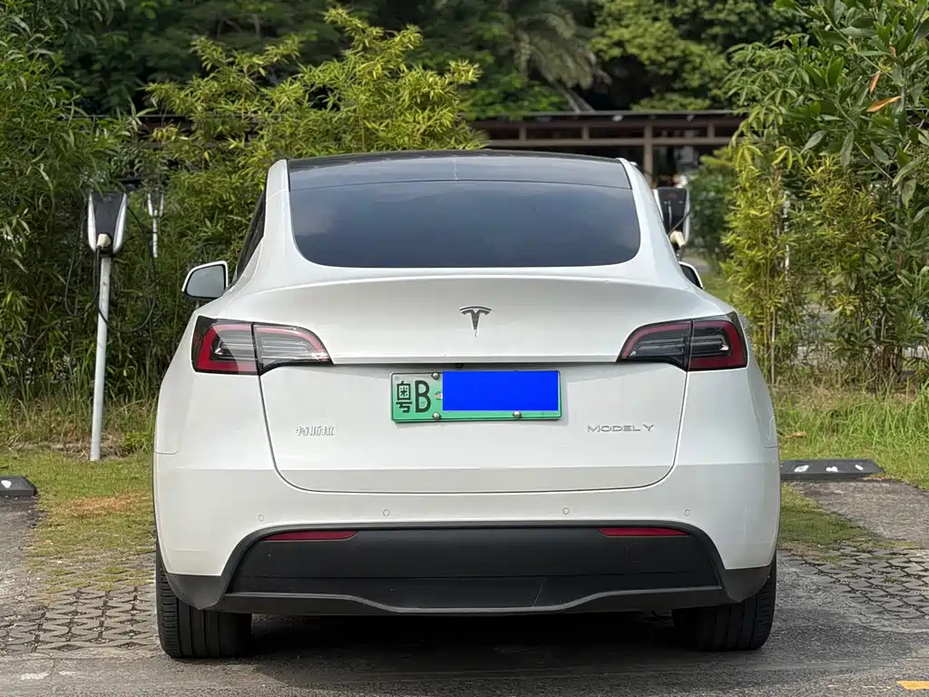 Tesla Model Y — миниатюра 12