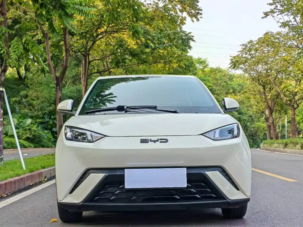 BYD Seagull — миниатюра 2