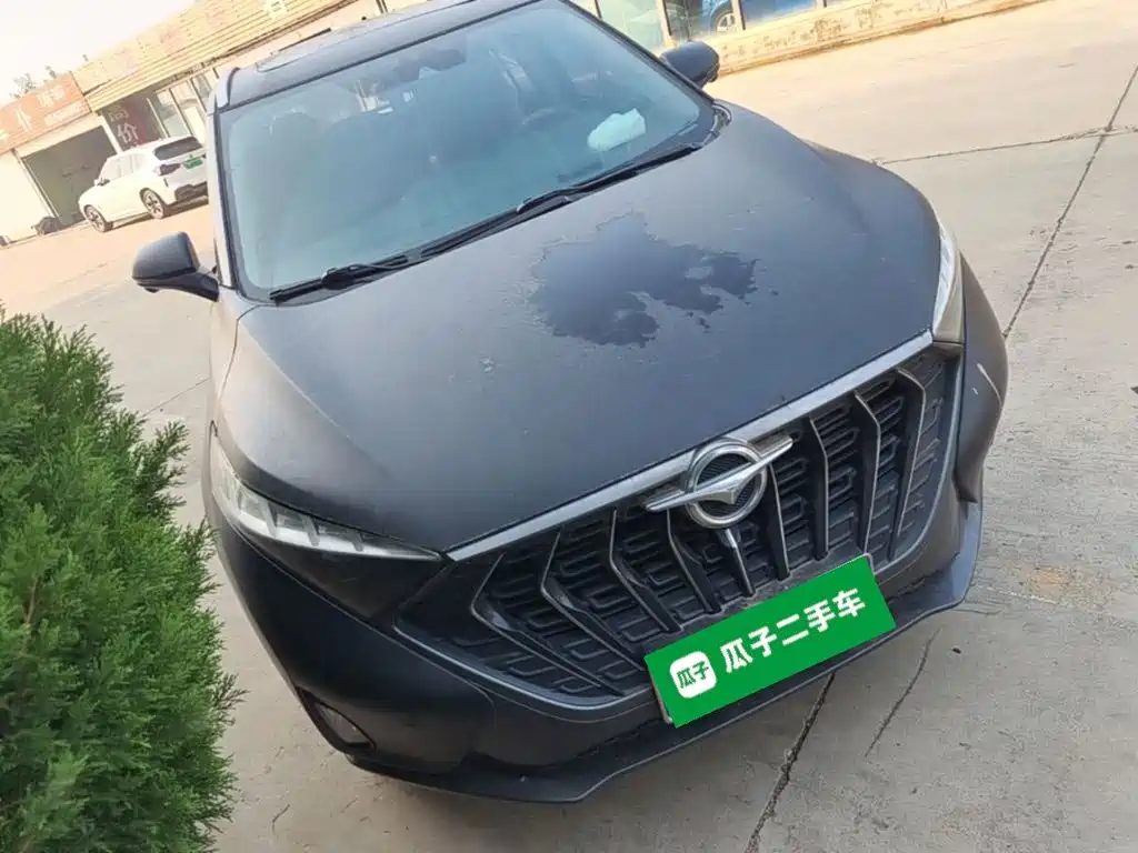 Haima Haima 7X — миниатюра 4