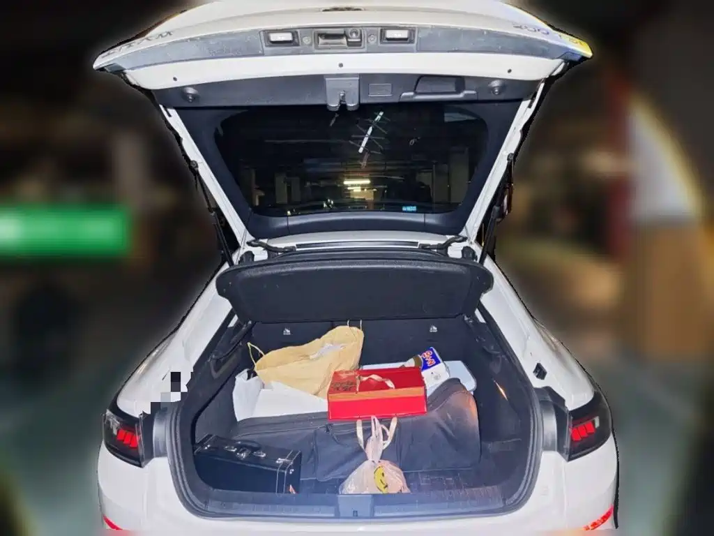 Volkswagen Lamando — миниатюра 14