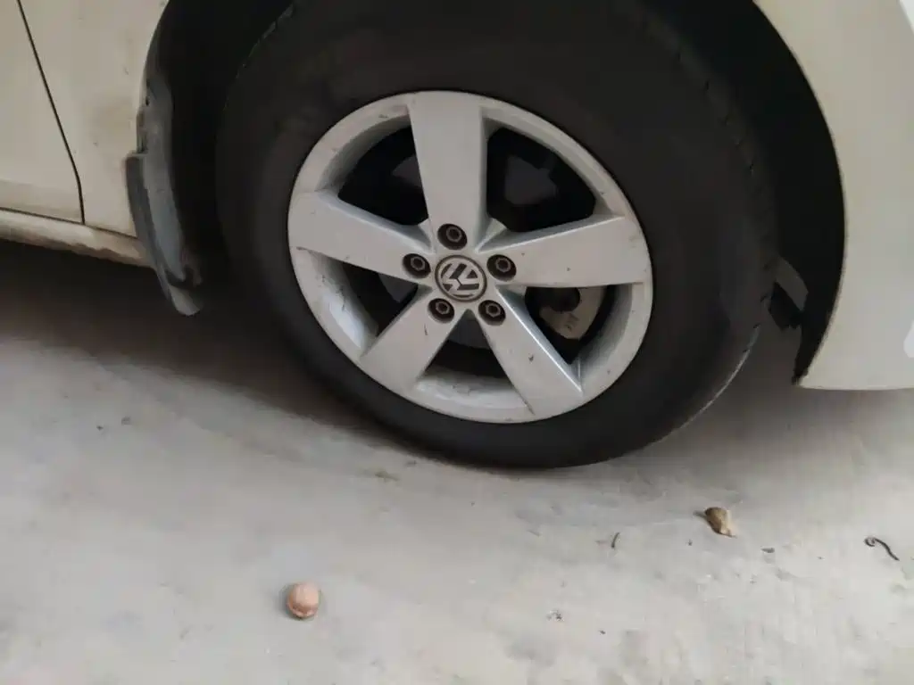 Volkswagen Santana — миниатюра 8