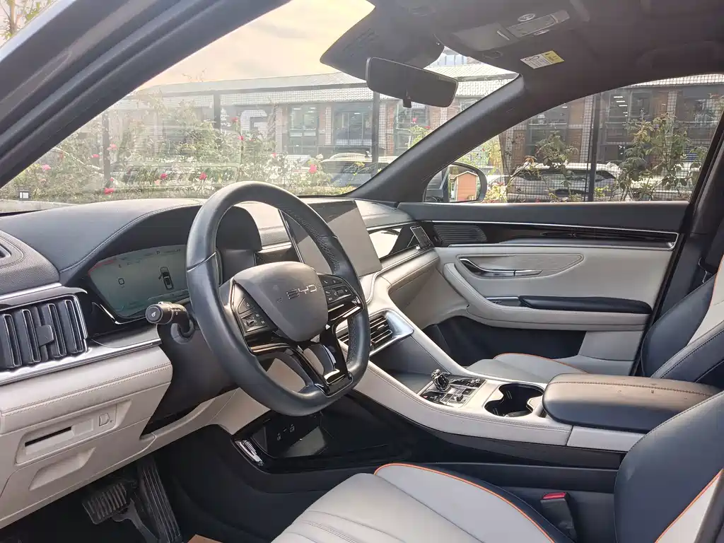 BYD PLUS New Energy — миниатюра 12