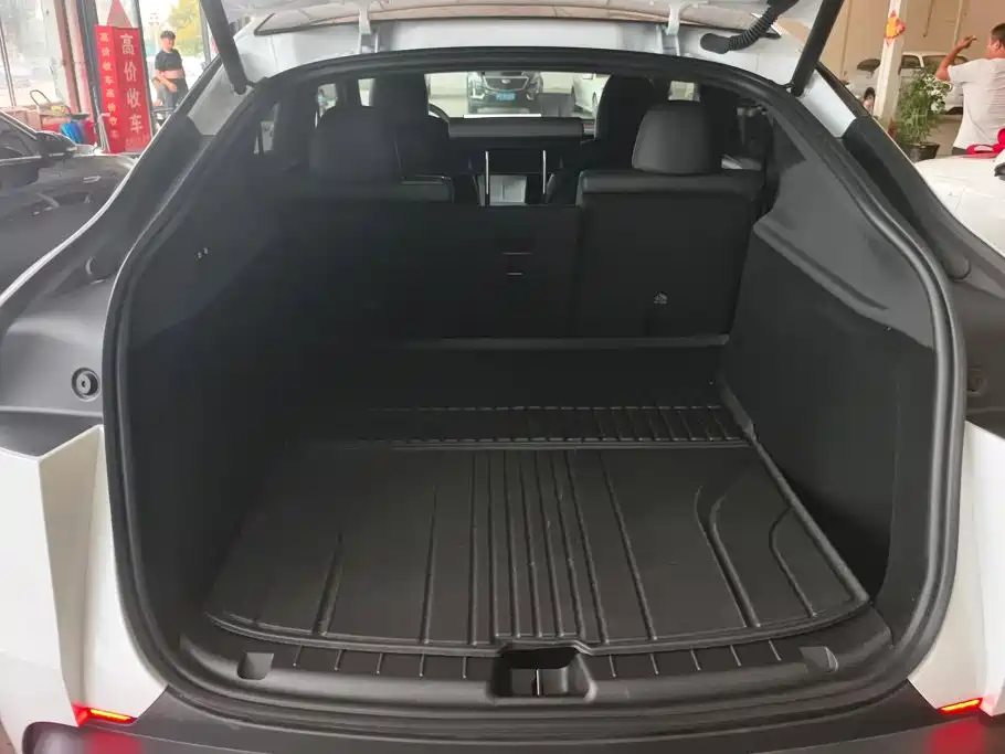 Tesla Model Y — миниатюра 4