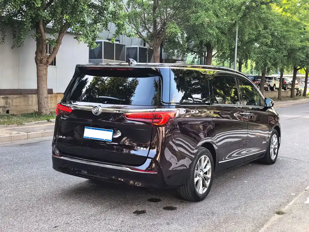 Buick GL8 — миниатюра 5