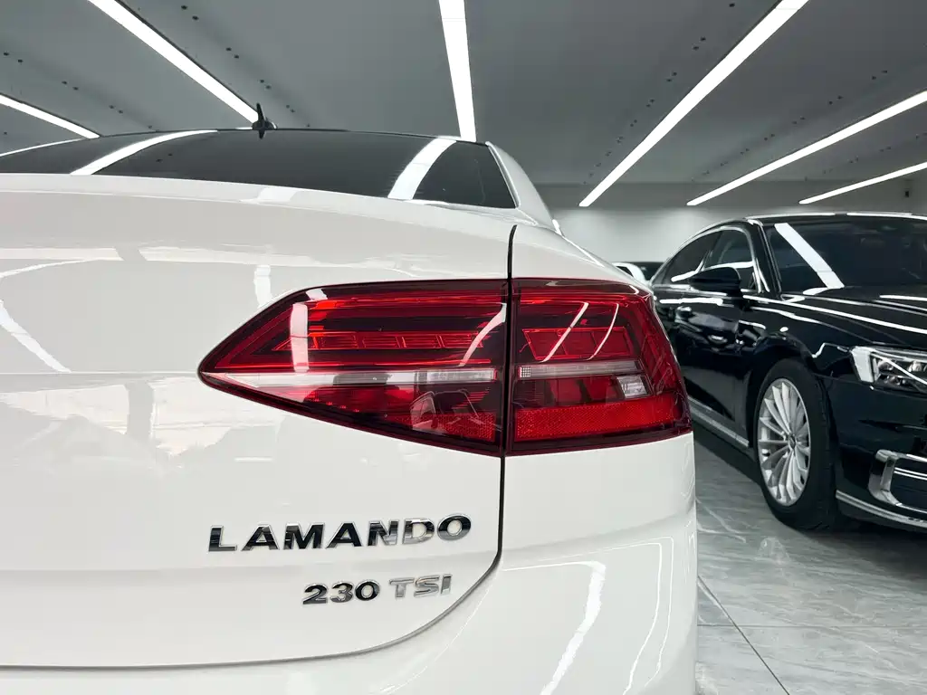 Volkswagen Lamando — миниатюра 20