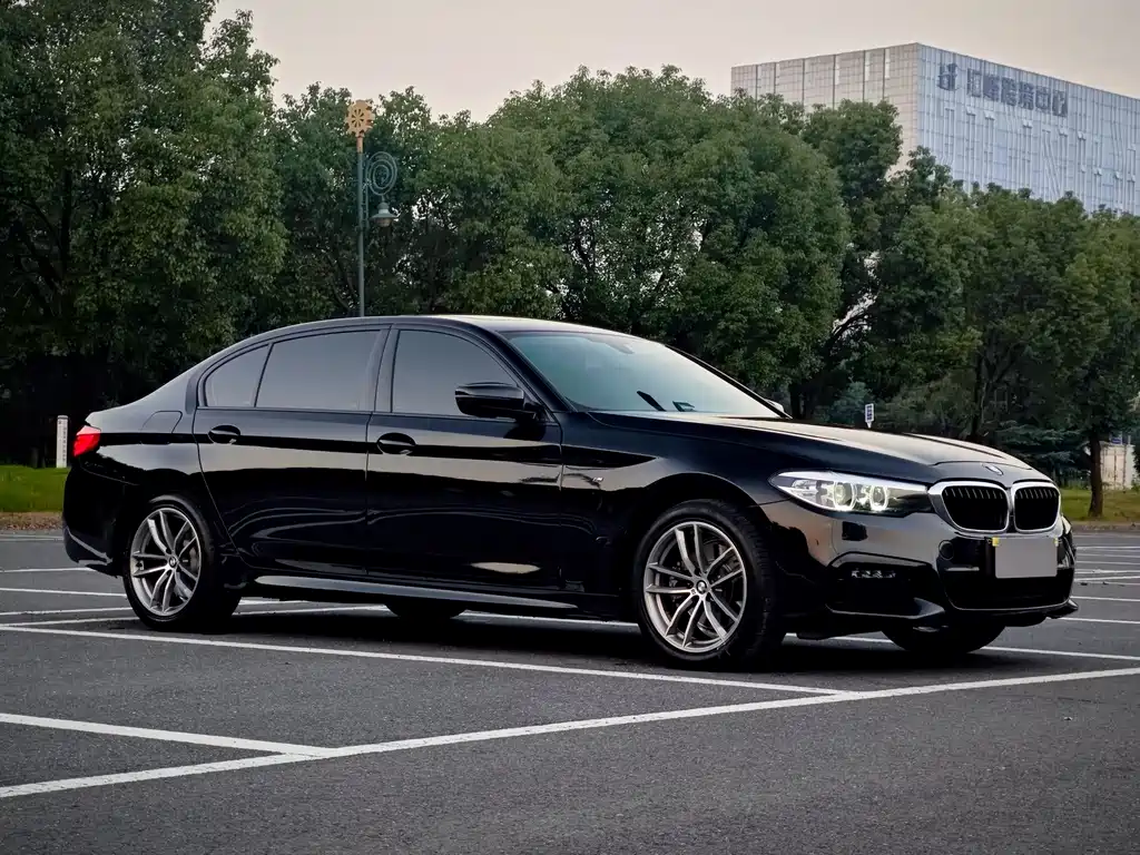 BMW 5 Series — миниатюра 3