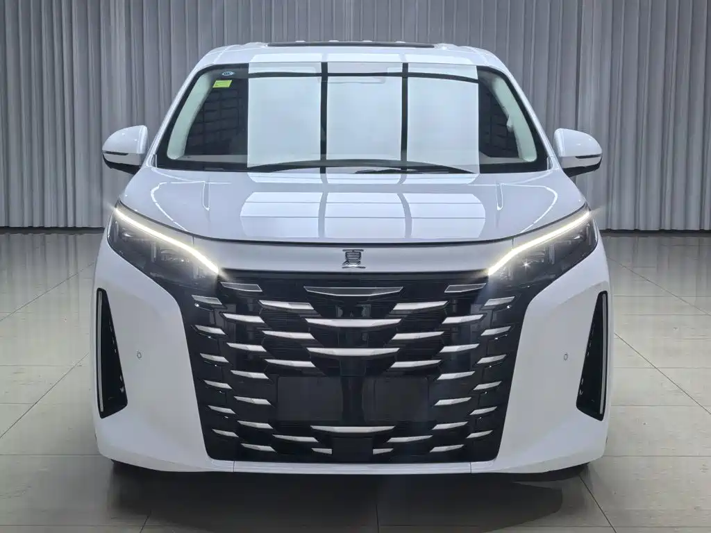 BYD Xia — миниатюра 22